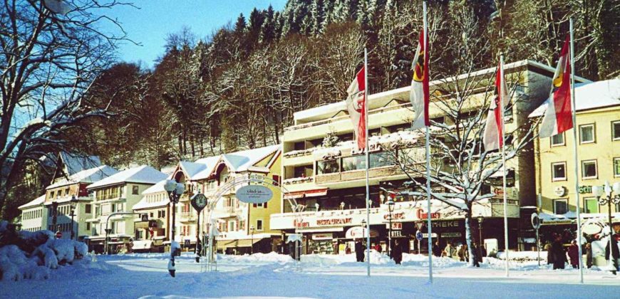 Отель, гостиница в Баден-Вюртемберге, Германия, 1242 м2