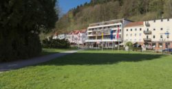 Отель, гостиница в Баден-Вюртемберге, Германия, 1242 м2