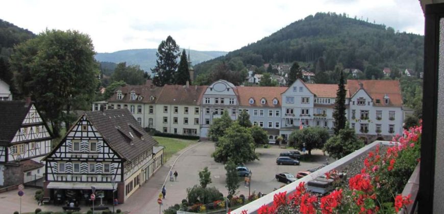 Отель, гостиница в Баден-Вюртемберге, Германия, 1242 м2