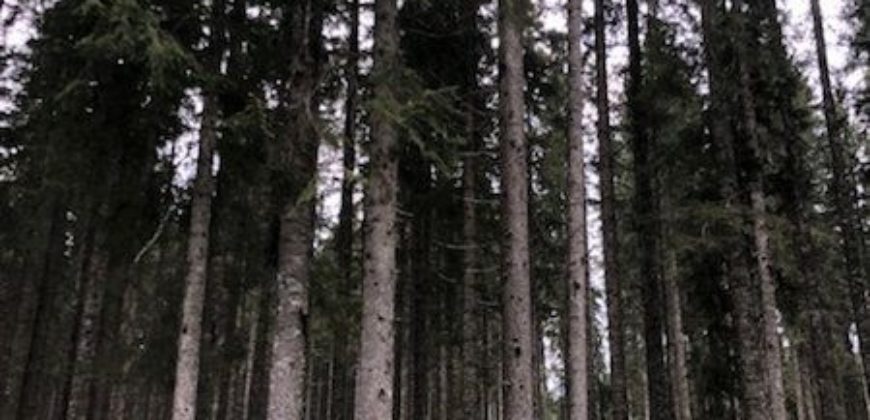 Отель, гостиница в Бохине, Словения, 251 м2