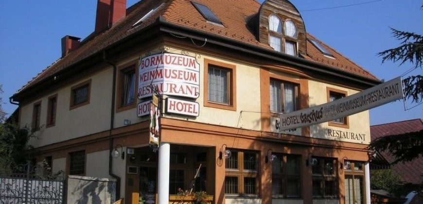 Отель, гостиница в Кестхее, Венгрия, 678 м2