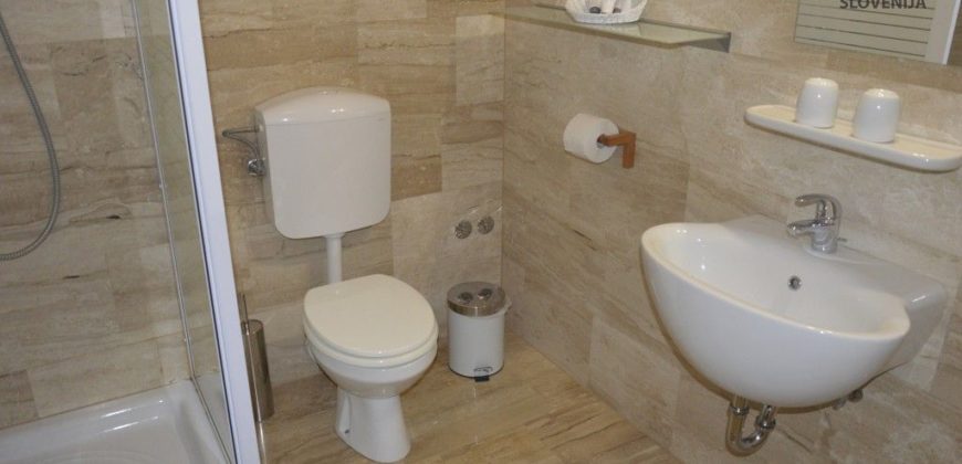Отель, гостиница в Мариборе, Словения, 810 м2