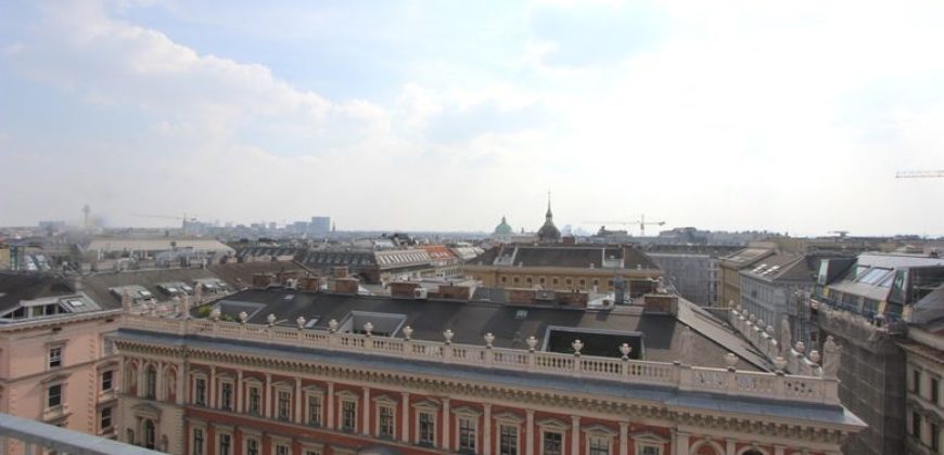 Пентхаус в Вене, Австрия, 311 м2