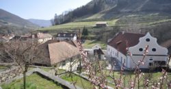 Поместье в Нижней Австрии, Австрия, 419 м2