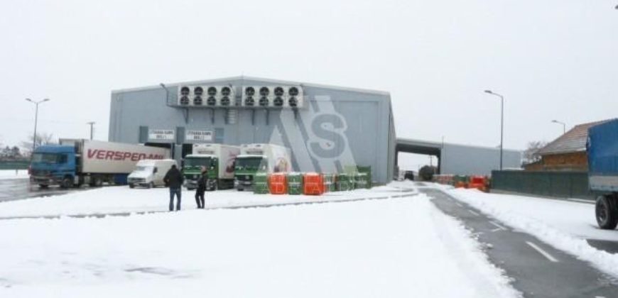 Производство в Белграде, Сербия, 6000 м2