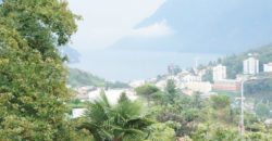 Вилла в Тичино, Швейцария, 340 м2