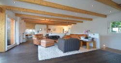 Вилла в Тичино, Швейцария, 450 м2