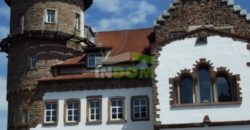 Замок в земле Рейнланд-Пфальц, Германия, 5000 м2