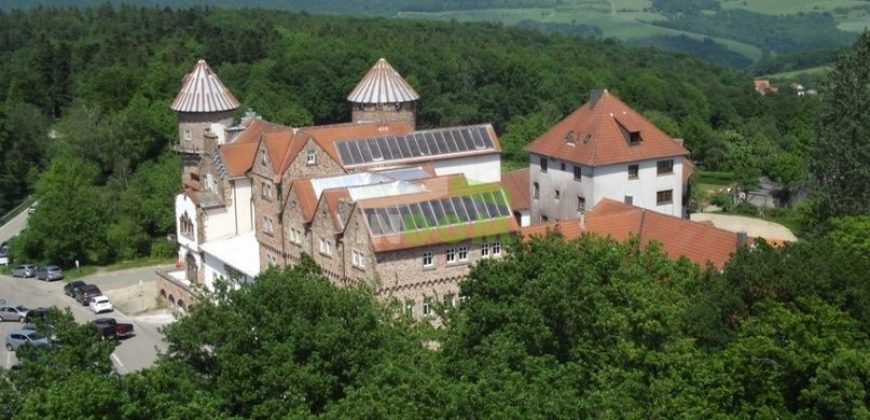 Замок в земле Рейнланд-Пфальц, Германия, 5000 м2