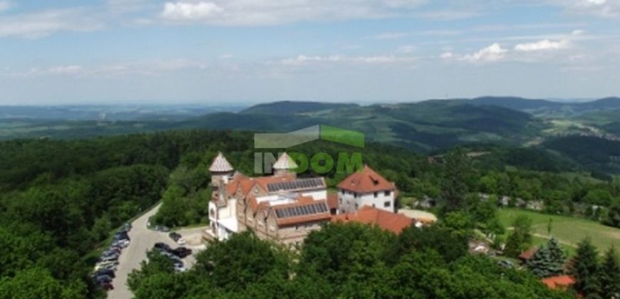 Замок в земле Рейнланд-Пфальц, Германия, 5000 м2