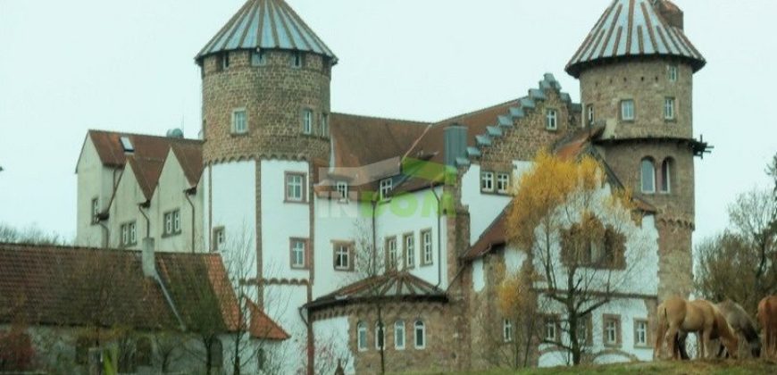 Замок в земле Рейнланд-Пфальц, Германия, 5000 м2