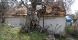 Земля в Баре, Черногория, 2200 м2