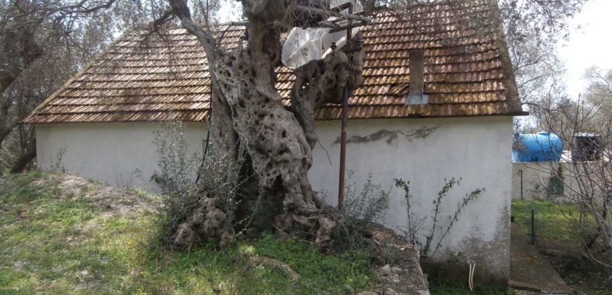 Земля в Баре, Черногория, 2200 м2