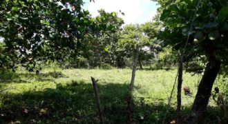 Земля в Кабарете, Доминиканская Республика, 10900 м2