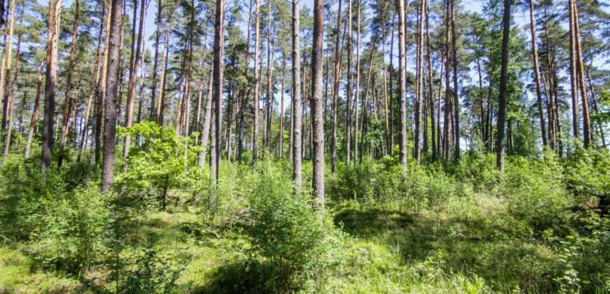 Земля в Юрмале, Латвия, 26700 сот.